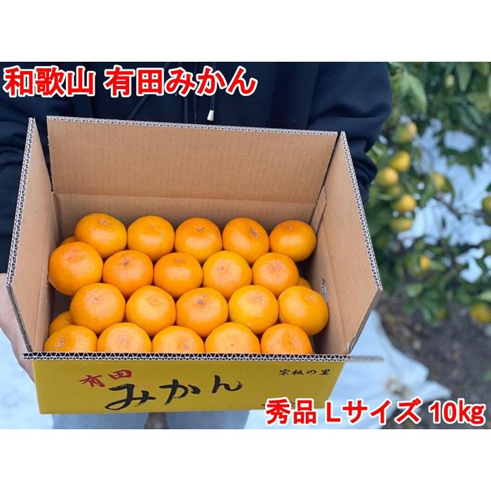【ふるさと納税】［秀品・サイズL］和歌山有田産！早生みかん≪10kg≫［予約販売］［数量限定］まる隆果樹園
