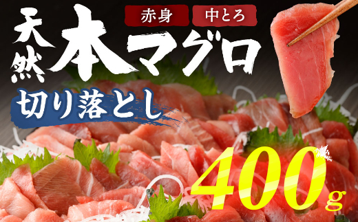 《 天然本まぐろ 》中トロ ・ 赤身 切落し【400g (100g×4パック)】天然 本マグロ 本まぐろ まぐろ マグロ 鮪 刺身 刺し身 魚 惣菜 海鮮丼 魚介類 食べきりサイズ 小分け 冷凍 訳あり 不揃い 10000円 送料無料 室戸の本マグロ tk024