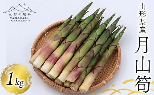 
                  【山形の極み】山形県産 月山筍1kg 2026年6月中旬頃から順次発送 F2Y-6842
                