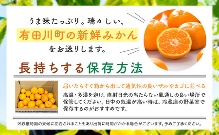 訳あり それでも 有田みかん 箱込 2.5kg (内容量約 2.3kg) サイズミックス B品 有田みかん 和歌山県産 産地直送 家庭用【みかんの会】