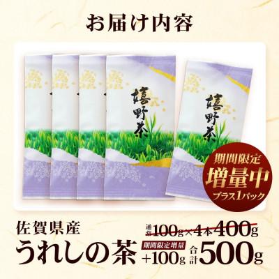 ふるさと納税 鹿島市 佐賀県産 うれしの茶(やぶきた茶)100g×5本【合計500g】美味しいお茶をご家庭用に |  | 03