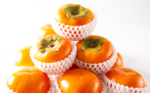 和歌山県産　美濃農園の富有柿　12個(2Lサイズ程度)【配送不可地域：離島・北海道・沖縄県】【1253530】