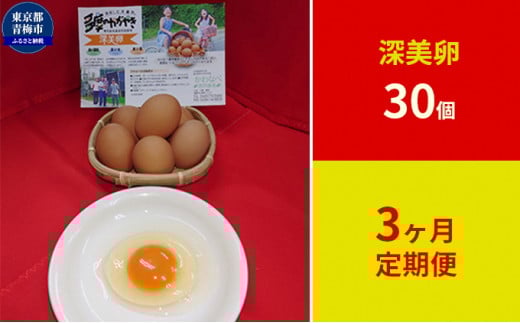 【定期便】かわなべ鶏卵農場のこだわりのたまご　深美卵30個　3ヶ月連続お届け [№5714-0143]