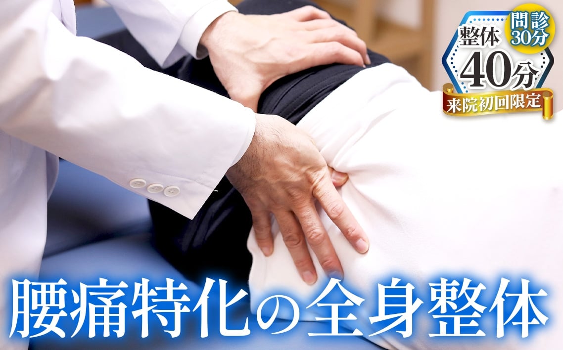 
            No.531 【初回のみ】腰痛特化の全身整体40分＋問診30分 ／ チケット 初回限定 問診 施術 アフターケア 姿勢 動作の修正 ストレッチ 運動療法 国家資格 愛知県
          