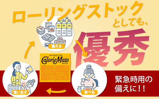 【6回定期便：合計360箱】 カロリーメイト ブロック 4本入り 5種類 各12箱 計60箱 【大塚製薬 定期便 チョコ バニラ メープル チーズ フルーツ 5大栄養素 徳島県 那賀町 非常食 常備食