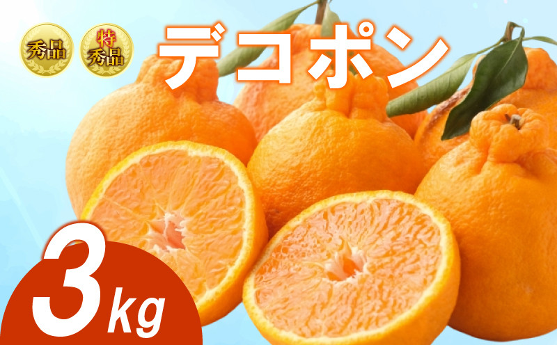 
            【2026年3月下旬より順次発送】【特上品】【秀品】デコポン 約3kg 不知火 でこぽん みかん 蜜柑 ミカン 柑橘 果物 くだもの 果実 フルーツ 旬 旬の果物 デザート スイーツ おやつ ゼリー ジュース 人気果物 人気フルーツ ランキング 香川 丸亀
          