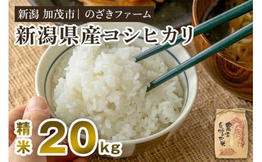【令和7年産新米先行予約】新潟県産コシヒカリ 精米20kg（20kg×1袋）（従来品種） 《9月下旬から順次出荷》 新潟米 お米 こめ コメ ライス ご飯 白米 加茂市 のざきファーム
