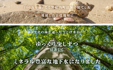 【定期便 3カ月】黒松内銘水 水彩の森 500ml×48本（2箱）北海道 ミネラルウォーター 天然水 国産 国内 硬水 中硬水 ナチュラル ミネラル 天然水 黒松内町 アウトドア キャンプ 飲料水 防