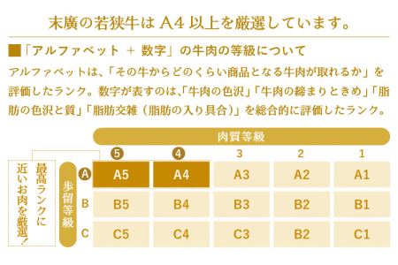 牛肉 若狭牛 小間切れ 900g（300g × 3パック）福井県産 A4等級 以上を厳選！【黒毛和牛 細切れ こま切れ 小分け】 [e02-a006]