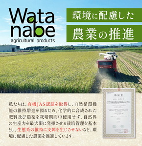令和7年産 有機JAS 七城産ひのひかり 玄米 5kg 渡辺農産熊本県 菊池市 米 お米 精米 ひのひかり 菊池市産 熊本県産 九州産 送料無料《30日以内に出荷予定(土日祝除く)》
