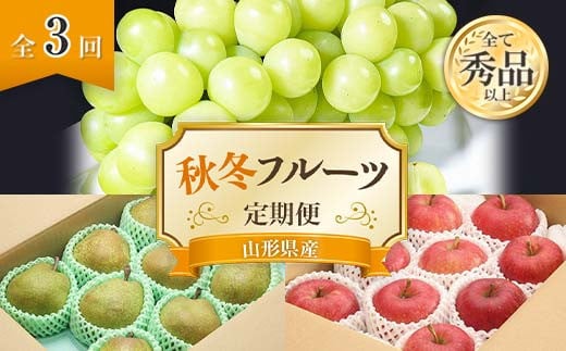 【令和7年産先行予約】 《定期便3回》 秋冬フルーツ定期便 『フードシステムズ』 山形県 南陽市 [1150-R7]