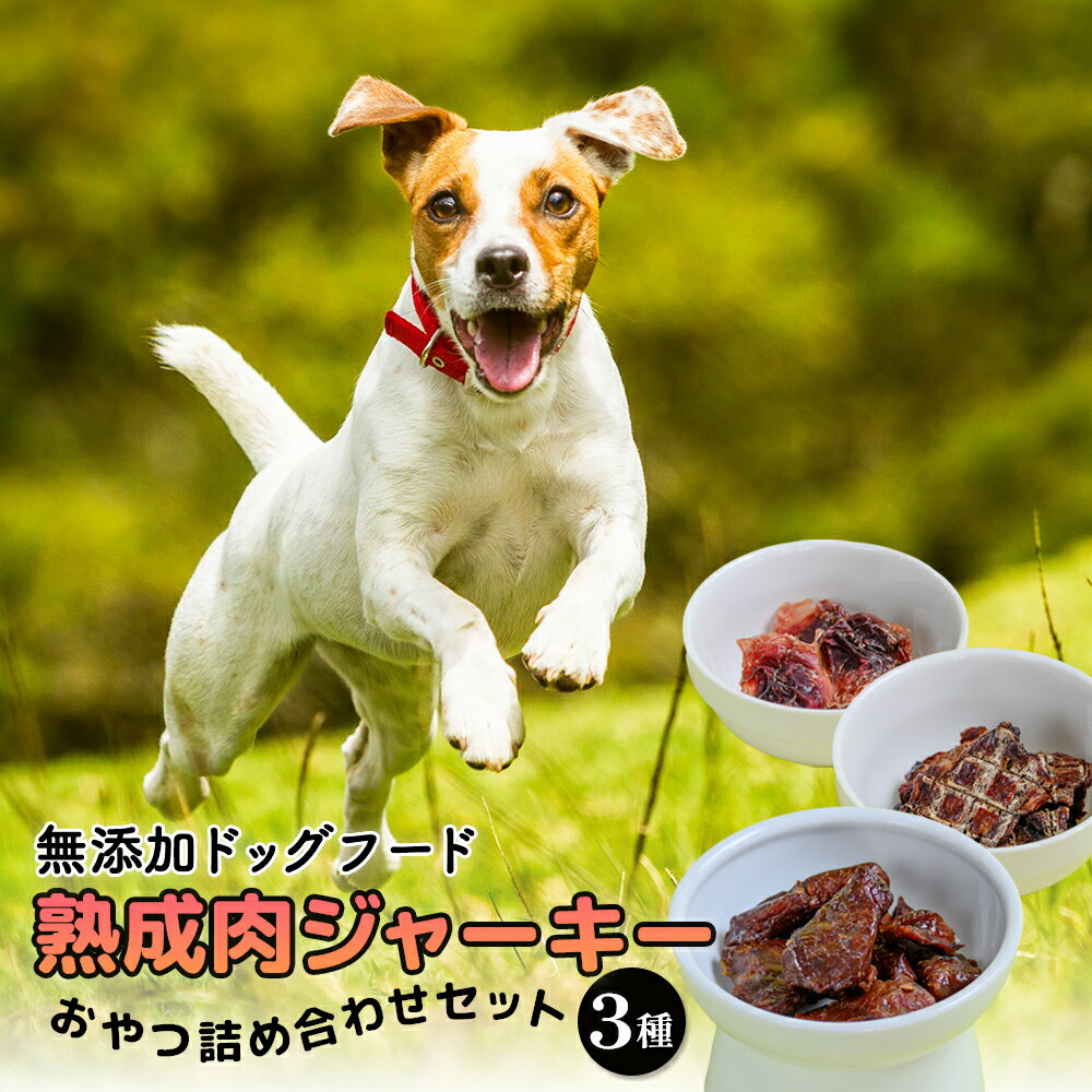 【ふるさと納税】ドッグフード 熟成肉ジャーキーおやつ詰合せセット ペット 犬 おやつ 沖縄県産熟成肉ジャーキー 沖縄県産にわとり 砂肝ジャーキー 沖縄県産マグロジャーキー 無添加 うるま市