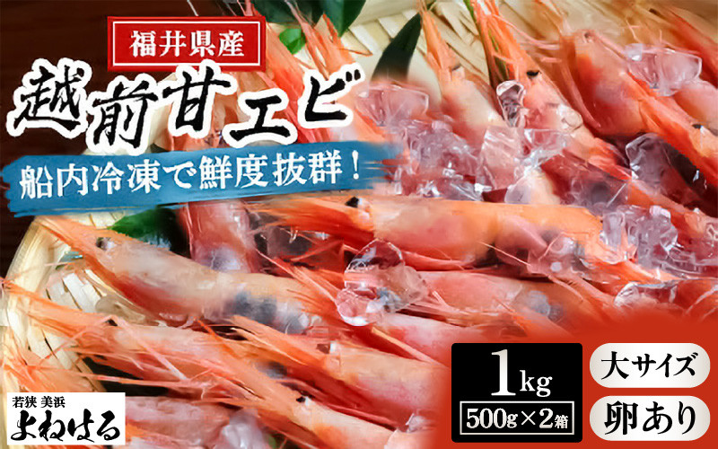 
[m17-c004] 大好評！天然 越前甘エビ（卵あり）大サイズ 計約1kg（約500g × 2箱）（合計約60尾入り） 解凍方法説明書付き 船内凍結 酸化防止剤不使用！ 甘エビ本来の味をお楽しみください 【えび エビ 海老 甘エビ 甘えび 子持ち 海鮮 お刺身 おせち 無添加 福井県産 国産】
