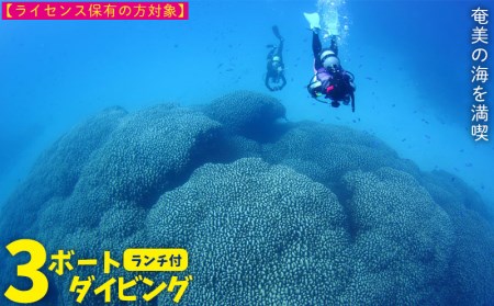 ダイビング 奄美の海を満喫　３ボートダイビング（ランチ付き）【ライセンス保有の方対象】 