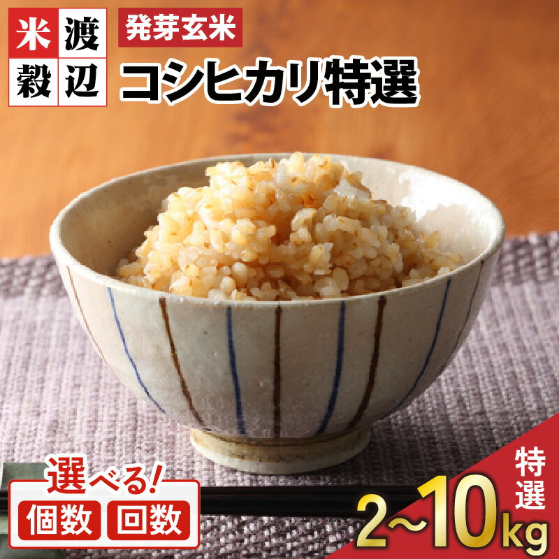 【ふるさと納税】＜寄附額見直しました！＞【令和7年産】【発芽玄米】 コシヒカリ「特選」 特別栽培米使用 1袋 / 2袋 / 3袋 / 5袋 (2kg〜10kg) 【選べる個数 / 発送回数】 2ヶ月 3ヶ月 定期便 無洗米 米 こしひかり 玄米 ギャバ GABA 食物繊維 栄養 真空パック ごはん ご飯