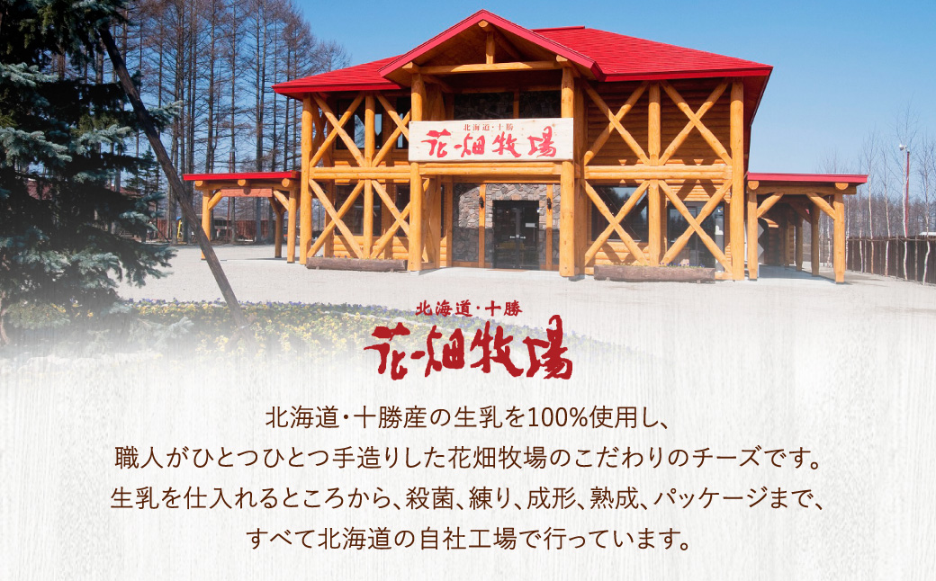 花畑牧場 モッツァレラチーズひとくちタイプ 約500g【B94】 モッツァレラチーズ 北海道産