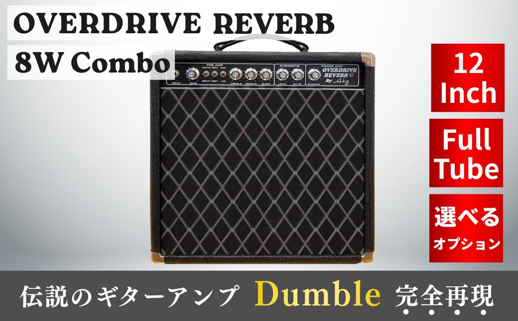 
            AKG SOUND DESIGN／AKG工房 ギターアンプ チューブアンプ Overdrive Reverb 8W 12inch Combo（オーバードライブ リバーブ 8W 12インチ コンボ）ダンブルクローン ハンドメイド フルオーダー カスタム 一点物 受注生産 ハンドワイヤード 高級ギターアンプ 岩手県一関市
          