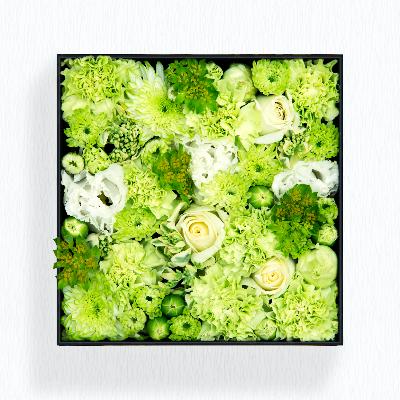 ふるさと納税 小田原市 BOXアレンジメント　ホワイト/グリーン系　16cm