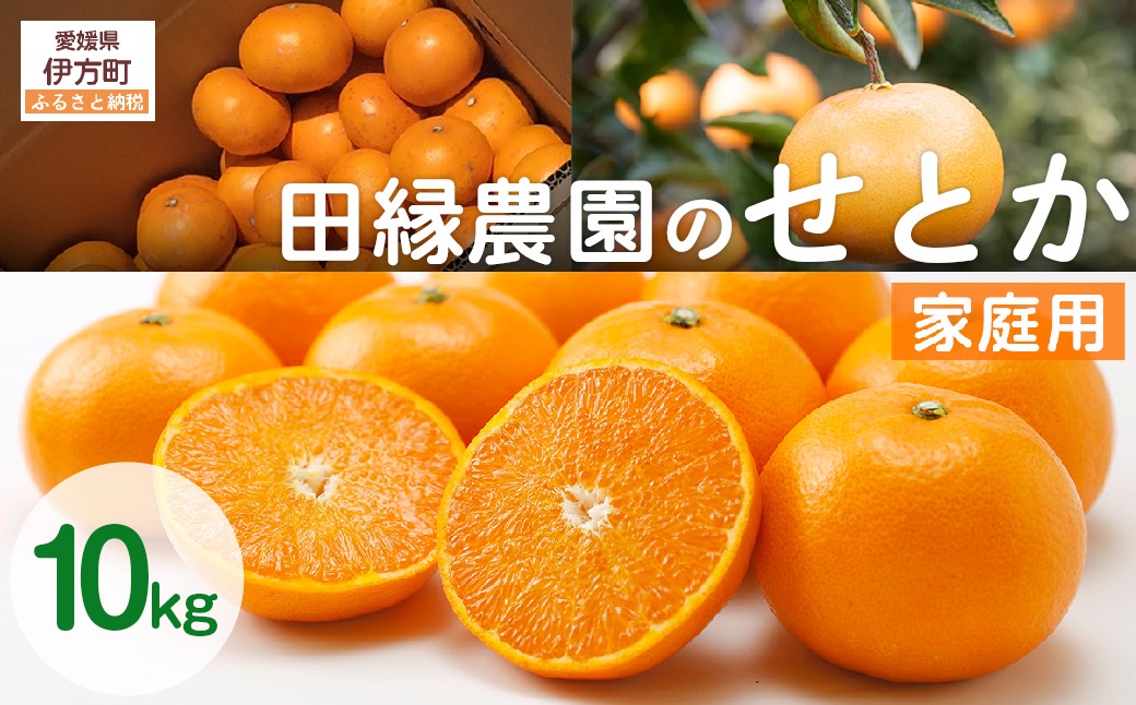 【先行予約】【家庭用】せとか 10kg ※離島への配送不可 （2026年3月5日より順次発送） IKTA038