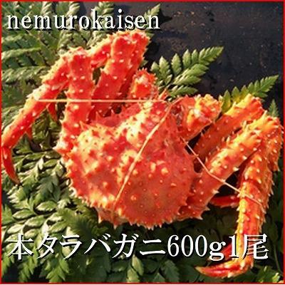 ふるさと納税 根室市 【北海道根室産】本タラバガニ600g前後×1尾 B-57029