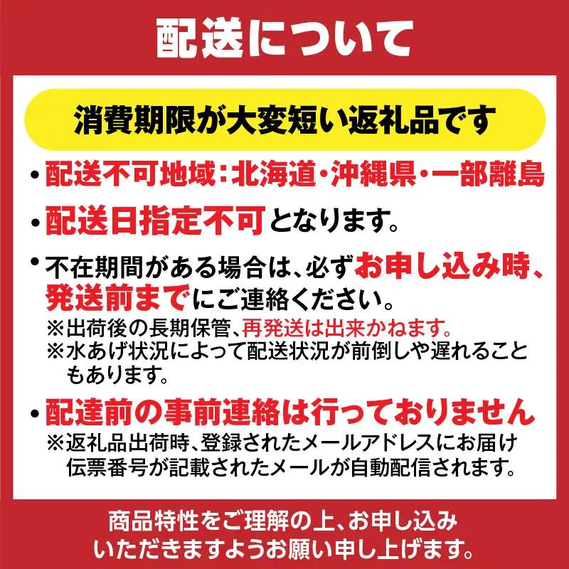 《ボイル》 香住ガニ 大 タグ付き 2枚【令和8年11月以降発送予定】かに カニ 03-08