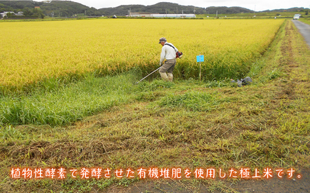 【全2回定期便】酵素米（なつほのか）5kg《壱岐市》【農事組合法人 原の辻】お米 ご飯 健康 栄養 米[JDG006]