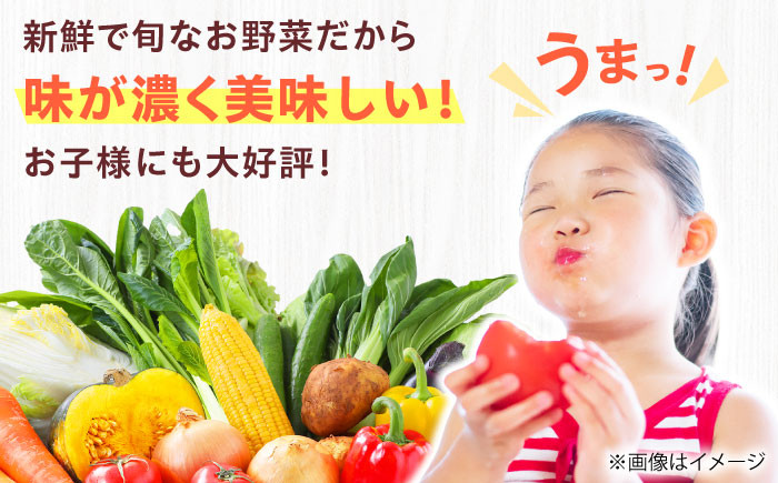 新鮮 旬 人気 お取り寄せ 詰め合わせ