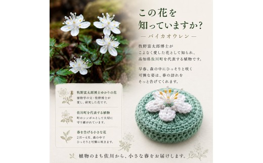＜バイカオウレンモチーフ ペーパーウェイト 1個＞ 【花：３輪　カラー：ダークグリーン】 