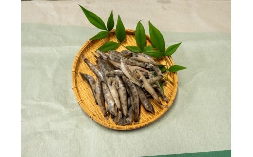めひかり 干物 1200g 高知県産 産地直送 白身 骨 丸ごと 魚 おかず おつまみ カルシウム ミネラル アオメエソ 天然塩 海洋深層水 丸宮 宮本商店 高知県 須崎市 MMY036