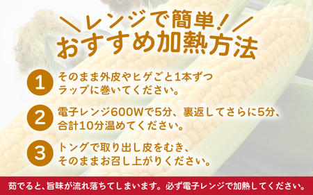 【先行予約】秋とうもろこし 5本 おおもの 黄色 朝採り ／ 期間限定 数量限定 ハウス栽培 産地直送 甘い スイートコーン とうもろこし 野菜 あわら ※2026年10月10日より順次発送 [aw0