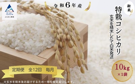 《 定期便 》 令和6年産 特栽コシヒカリ 玄米を精米したて白米発送 10kg× 12回 ( 毎月 ) 　208001