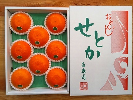 化粧箱 柑橘の大トロ ハウス せとか 厳選 8玉入 BS112