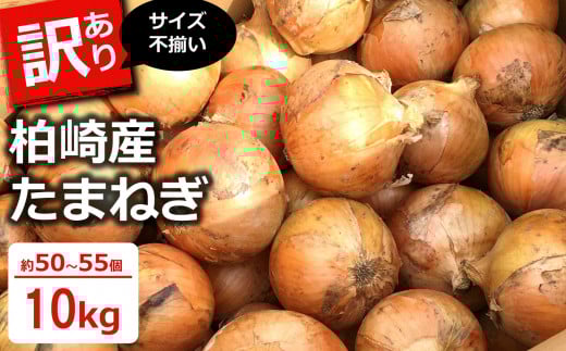 【先行予約・6月中旬～発送予定】たまねぎ サイズ不揃い 10kg（約50～55個入） 柏崎産 訳あり【数量限定】[Y0018]