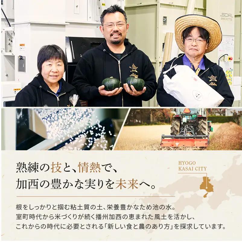 食べてみたいお米 Alatana 米 「三ツ星」 白米 10kg 精米 お米
