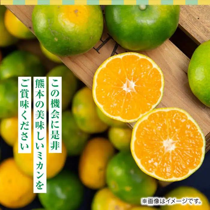 【先行予約】極早生みかん 約10kg　2S〜2Lサイズ　【くまふる】[ZBG054]