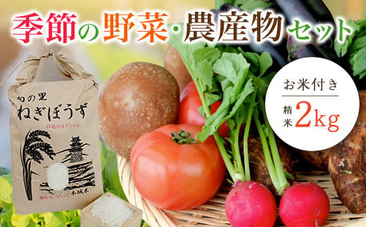 
季節の野菜・農産物セット　お米付き(精米・2kg)　ふるさと納税 野菜 野菜詰合せ 季節 お米 米 千葉県 茂原市 MBAE001
