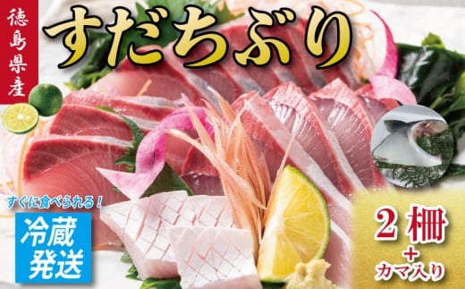 すだちぶり 2柵 カマいり 10月から11月末まで発送 すだち ぶり 鰤 刺身 ぶりしゃぶ 切り身 さしみ しゃぶしゃぶ かぼすぶり に負けない 下処理済み 冷蔵 徳島 鳴門 なると