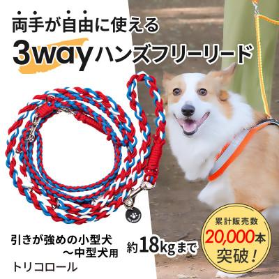ふるさと納税 掛川市 【犬用】3WAYハンズフリーリード(引きが強めの小型〜中型犬)トリコロール【ゴールデンママ】