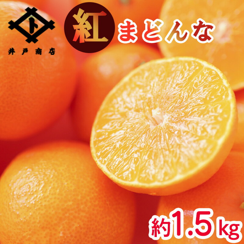 【ふるさと納税】 ★★★150箱限定★★★【11月下旬から発送】 紅まどんな ◯等級 Lから2L 約1.5kg | 高級 柑橘 みかん 蜜柑 愛媛 松山 返礼品 甘い 大玉