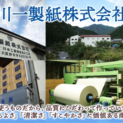 定期便 3ヶ月毎 全3回 トイレットペーパー 100ｍ シングル 60ロール 青ラベル 紙 ペーパー 日用品 消耗品 リサイクル 再生紙 無香料 厚手 ソフト 長尺 長巻きトイレ用品 備蓄 ストック 