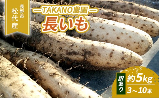 
                  高野農園　長野市松代産 TAKANO農園　長いも 約5kg（訳あり）【3～10本】 野菜 根菜 長野県産 ネバネバ シャキシャキ とろろご飯 具材 食材 国産 |  長芋 ながいもとろろ 人気 おすすめ 産地直送  送料無料  長野県 長野市 信州 信濃 ふるさと納税
                