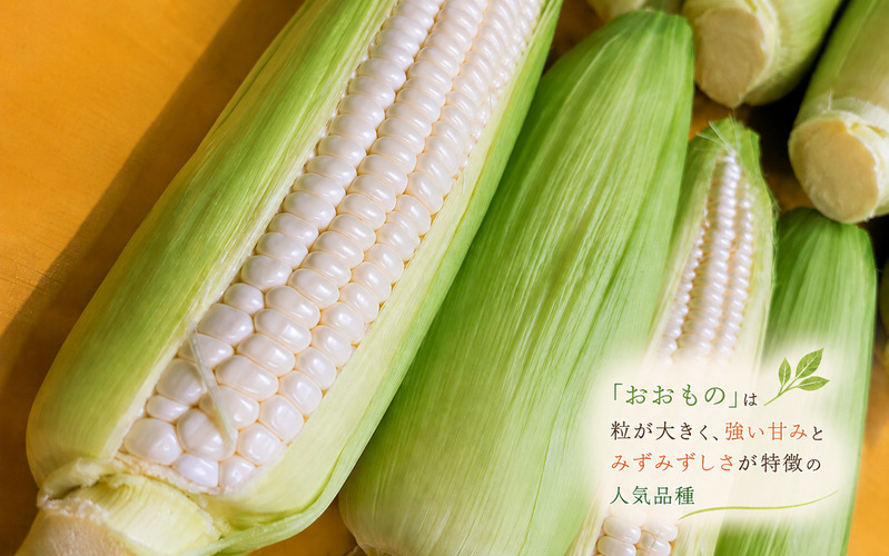 【7月下旬～8月上旬発送】 平泉町産 白い おおもの とうもろこし 2kg (4～6本) / トウモロコシ 野菜 やさい 甘い 濃厚 美味しい 【配送不可地域：九州／沖縄県／離島】【ipo001】