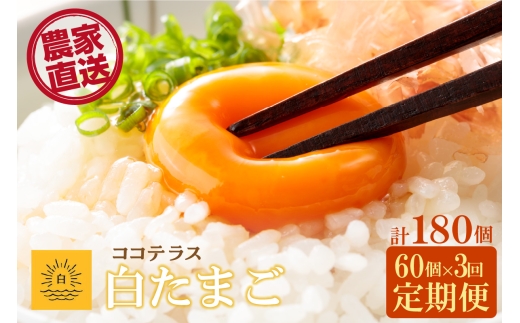 【3ヵ月定期便】ココテラスの朝日（白たまご）55個 + 5個保証（計60個）【JGAP認証】