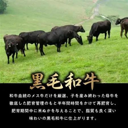 黒毛和牛を普段使いに 黒毛和牛切落し900g　南九州【配送不可地域：離島】【1186151】