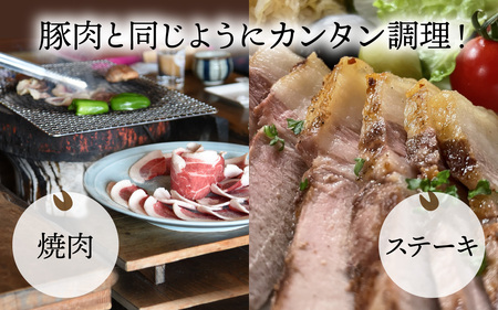 奥能登 穴水産 天然猪肉 ランプ 120g×5枚 計600g / ジビエ
