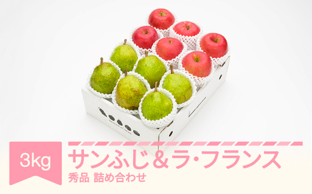 【先行予約】サンふじ ＆ ラ・フランス 3kg 令和7年産 2025年産 山形県産 果物りんご サンふじ ラフランス  ns-fsrlx3	