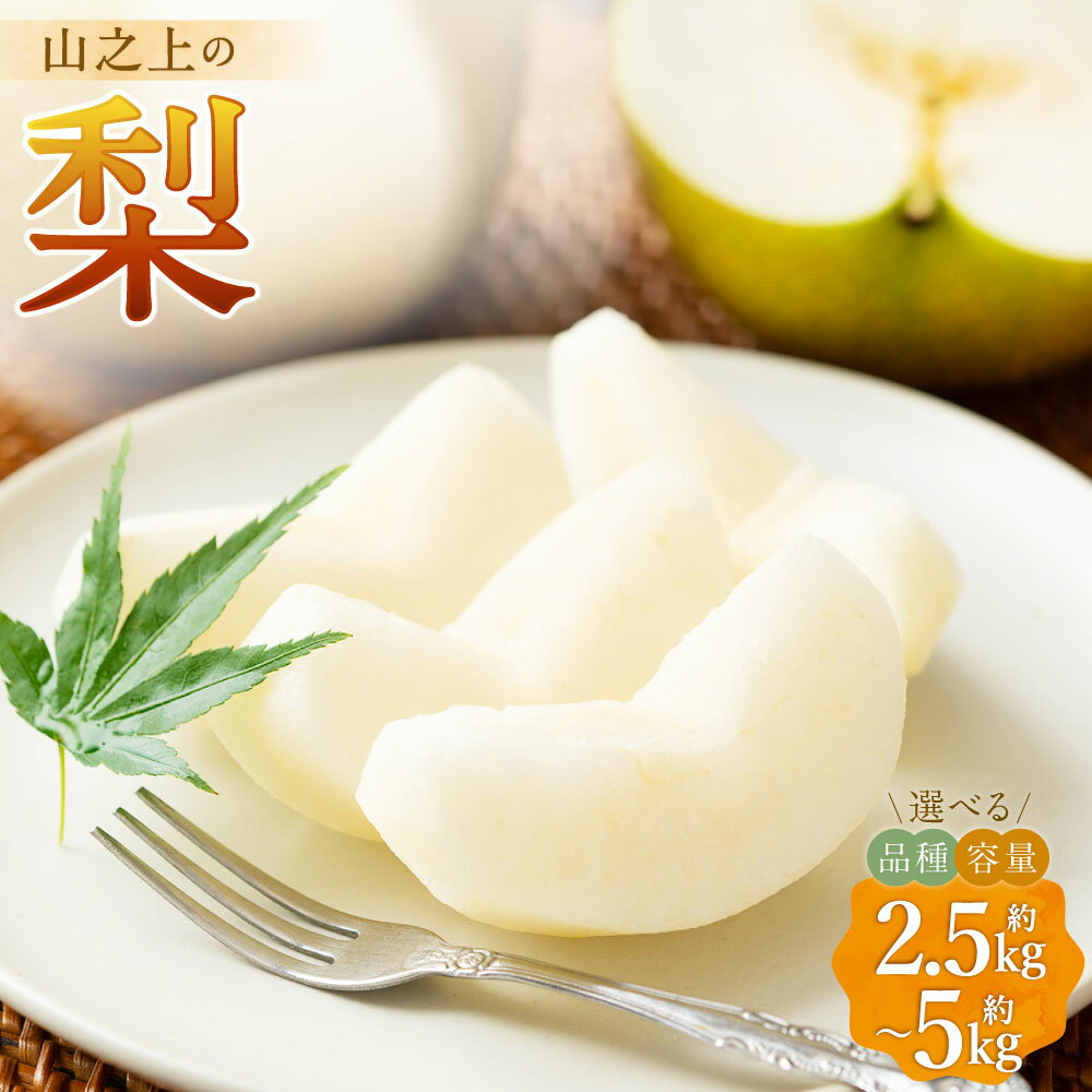 【ふるさと納税】【選べる品種・容量】約2.5kg ～5kg 山之上の梨 山之上果実農業協同組合 丸坂山田農園株式会社 ありた農園 精華園 福果園 幸水 豊水 あきづき 二十世紀 長寿 新高 くだもの 果物 果実 フルーツ 梨 なし 冷蔵 岐阜県産 国産 岐阜県 美濃加茂市 送料無料
