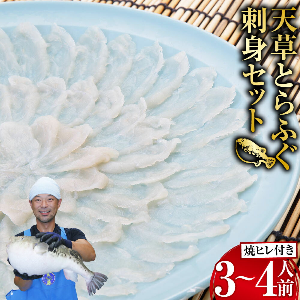 【ふるさと納税】【数量限定】【大皿】【ミシュラン星付きのプロが愛用】天草とらふぐ刺身セット 3~4人前 焼ヒレ付き とらふぐ ふぐ 河豚 虎河豚 魚介 魚貝類 焼きひれ セット 刺し身 刺身 熊本 【2025年12月下旬～2026年3月下旬まで順次発送予定】