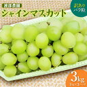 【ふるさと納税】【令和7年産先行予約】 訳あり バラ粒 シャインマスカット 約3kg(1kg×3パック)　白品種ぶどう