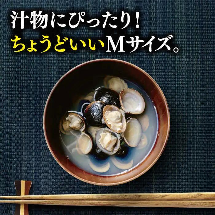しじみ 宍道湖産 冷凍大和しじみ 砂抜き済 Mサイズ800g×3袋(2.4kg) 島根県松江市/しじみ市場株式会社[ALDK002] しじみ しじみ